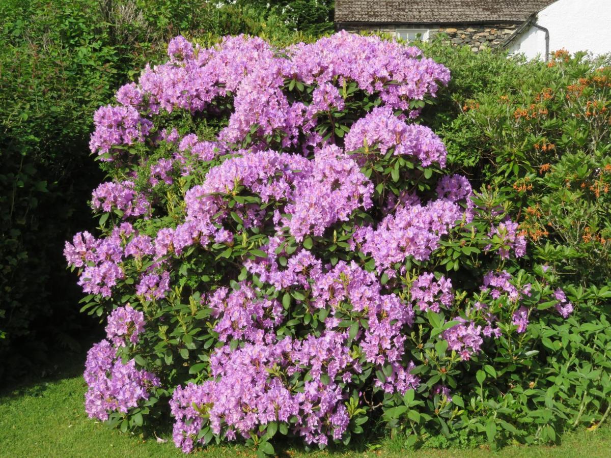 Slack Cottage Ambleside Eksteriør billede